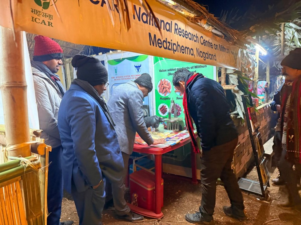 The dedicated stall showcasing mithun-based products and technical literature set up by ICAR–NRCM Medziphema at the first Mithun Festival held at Kipeilua Village, Dima Hasao, Assam, from January 8 to 9. (Photo Courtesy: ICAR-NRCM)
